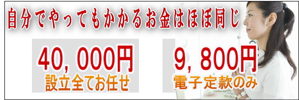 合同会社設立、電子定款作成の費用